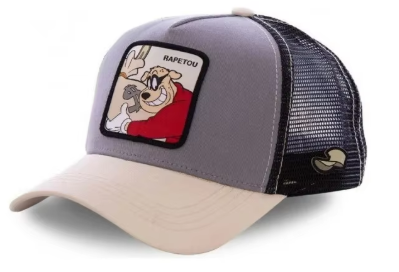 Disney Casual Cap